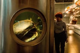 A large metal tank contains a preserved shark. Its mouth is opened at one of the round windows.
